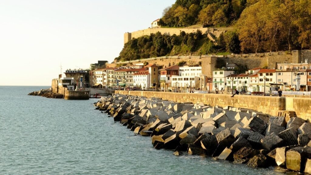 Télécharger le formulaire zfe san sebastian en PDF gratuit